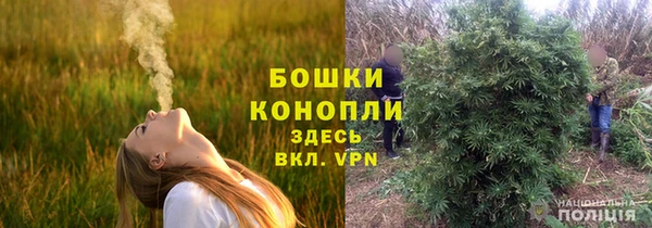 сатива Нея