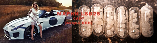 стафф Нефтекумск