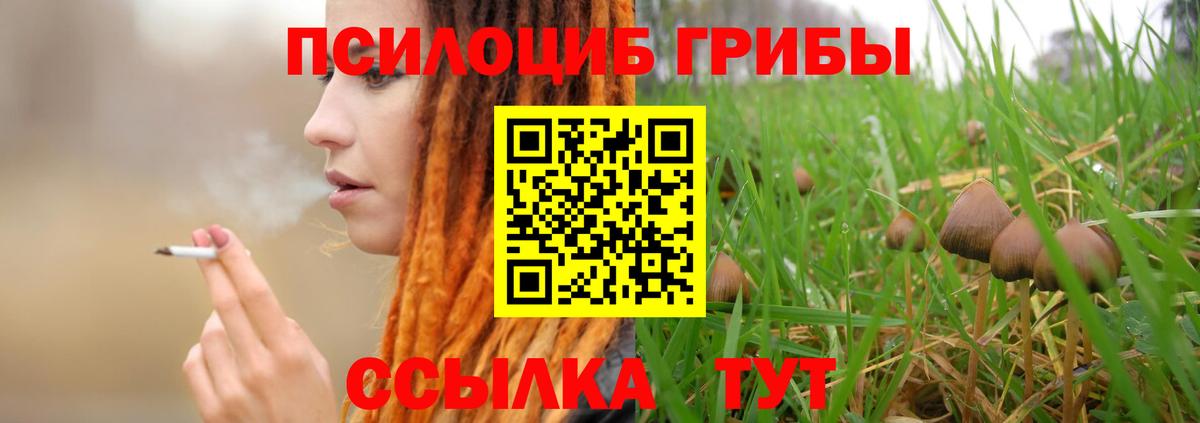 Псилоцибиновые грибы Cubensis  Вход с VPN  Псков 